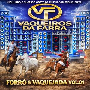 Vaqueiro Desmantelado (Miguel Silva)