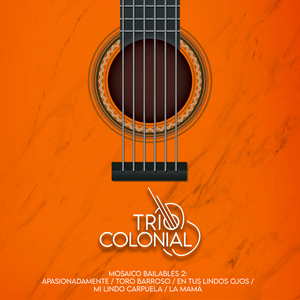 Mosaico Bailables 2: Apasionadamente / Toro Barroso / En Tus Lindos Ojos / Mi Lindo Carpuela / La Mama