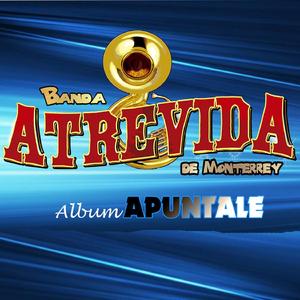 Apuntale