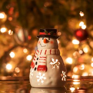 Have Yourself A Merry Little Christmas（Cover Judy Garland）