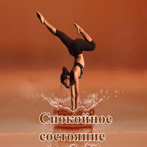 Спокойное состояние