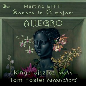 Dresden Sonata No. 1 in C Major, TalB SV9:I. Allegro - Adagio