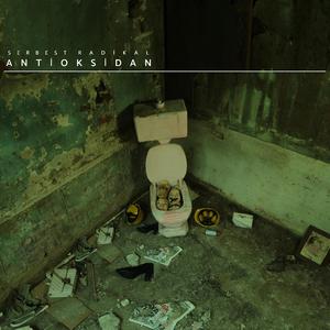 Antioksidan