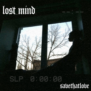 Lost Mind