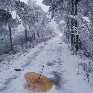 晚夜微雨问海棠