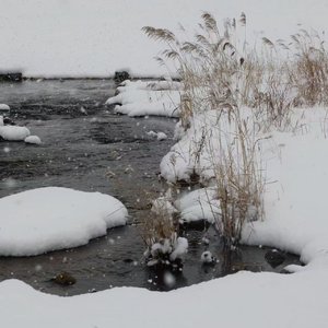 大祭司的神秘仪式