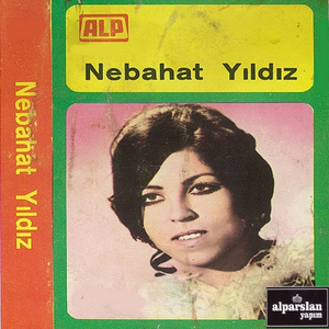 Anam Anam Garip Anam