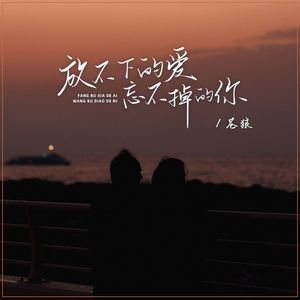 放不下的爱忘不掉的你 (DJ浩然版)