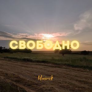 Свободно (feat. Heavy Bass)