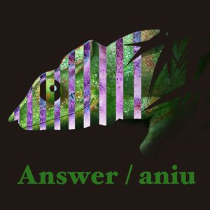 Answer