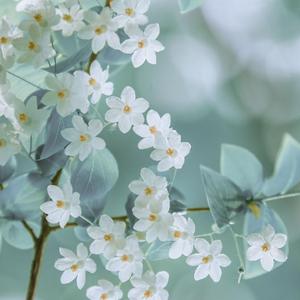 天涯客（翻自龚俊/张哲瀚）（翻自 龚俊）