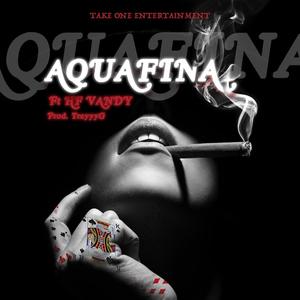 Aquafinna (feat. HF VANDY)