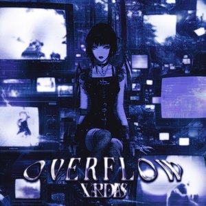 O V E R F L O W