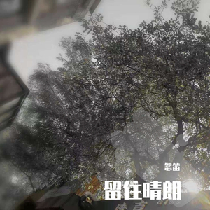 留住晴朗