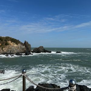 你教会我爱，然后置身事外