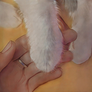 Пушистый кот