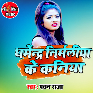 Dharmendra Nirmaliya Ke Kaniya Choli Chhap Se Khar Chhe