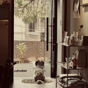 도망치지말아요