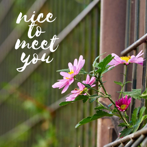 Nice To Meet You Too