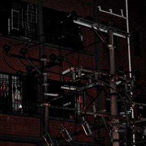 原谅向日葵爱上月亮