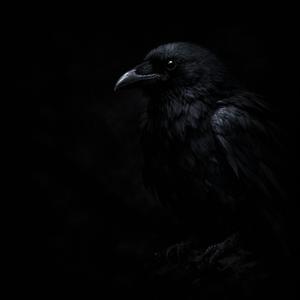 Take back to darkness
