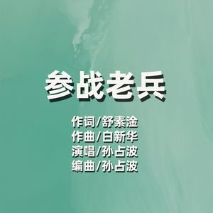 参战老兵