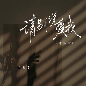 请别说爱我 (降调版)