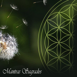 (A) - Pulmões e Tórax em Geral (Nota Lá)