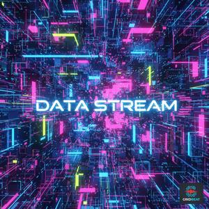 Data Stream