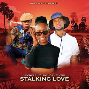 Stalking Love (feat. mondlrh & luwngah)