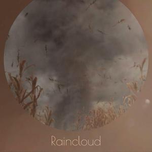 Potatoes Disintegrate