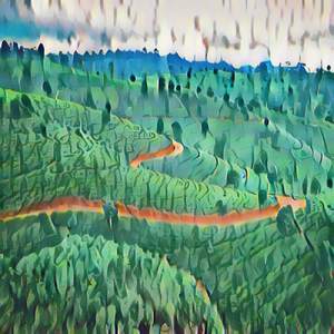 Babe, Don't Lose Your Head