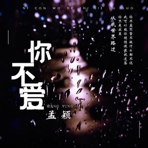 你不爱 (伴奏)