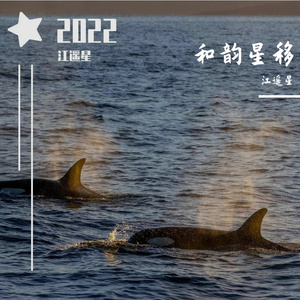 花灯游(Cover卿小双)