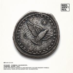 鸟是谎言 BIRD'S AREN'T REAL