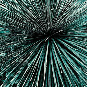 shoal