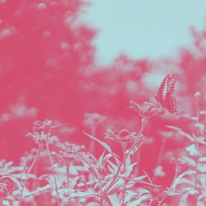 柔和的河流与溪流时刻