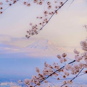 冬眠