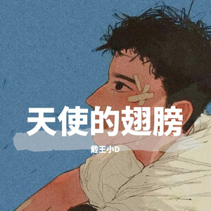 天使的翅膀