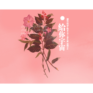 给你宇宙（翻自 脸红的思春期）