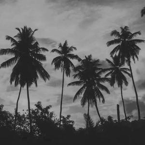 50 Cent-In Da Club（明洋 remix）