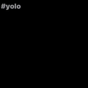 yolo