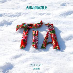 大东北我的家乡