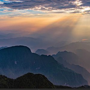 樱花褶皱的信笺