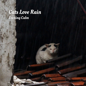 Rain Reduces Anxiety