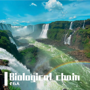 Biological chain(盘旋）