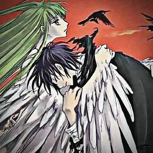 后来你成了我唯一带走不了的行李