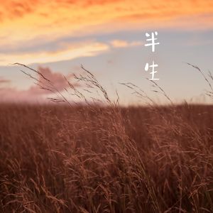 过此生 (西塔琴)