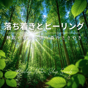寝落ちをサポートする癒しの音色とδ波音楽 疲労回復とメンタル改善のヒーリングBGM (寝落ちのピアノの森)