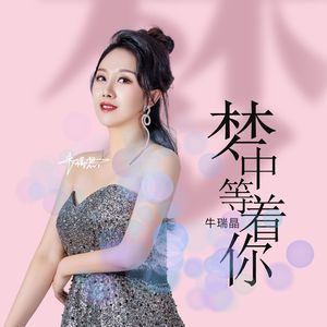 梦中等着你（DJ默涵版）（女声版）-牛瑞晶